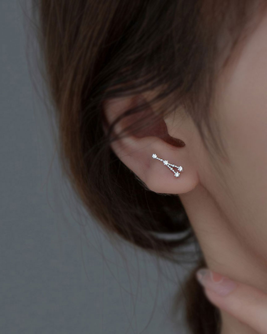 Zodiac Constellation Stud Earrings