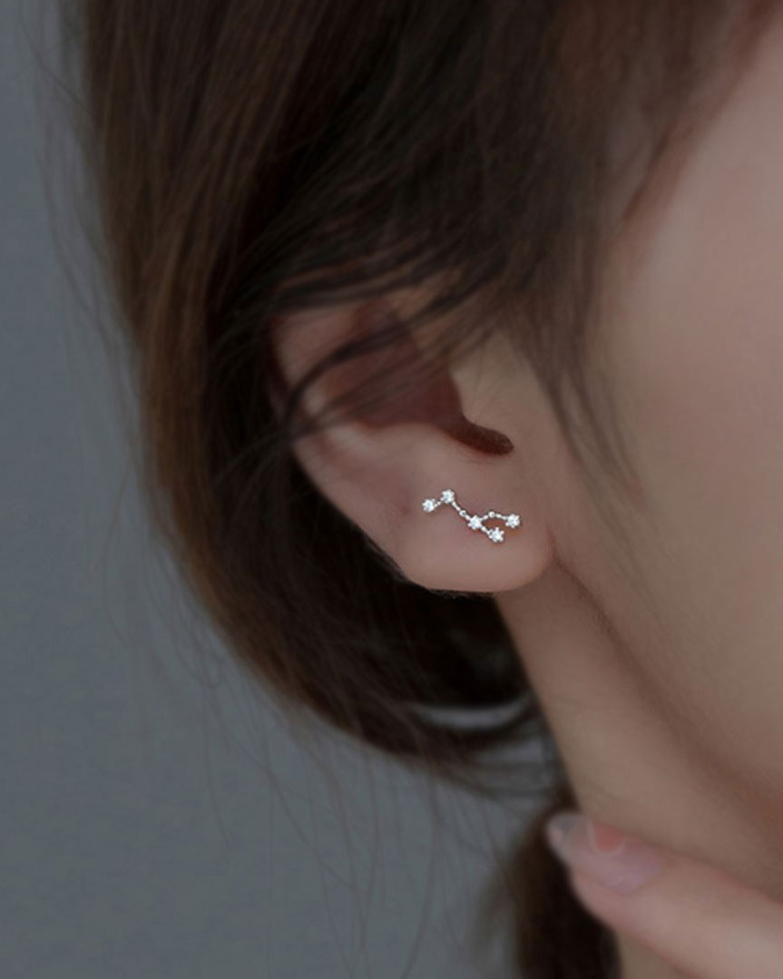 Zodiac Constellation Stud Earrings